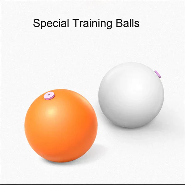 The Table Tennis Trainer