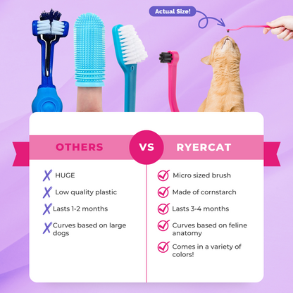CatEasy™ Dental Brush