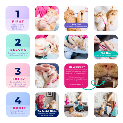 CatEasy™ Dental Brush