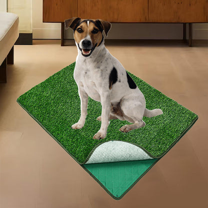 PawTurf Pro Reusable Dog Potty Mat