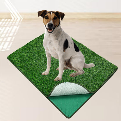 PawTurf Pro Reusable Dog Potty Mat