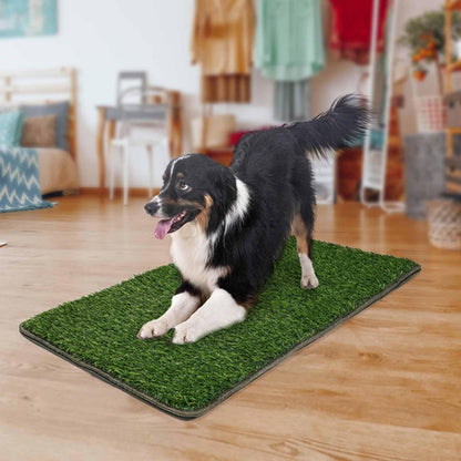 PawTurf Pro Reusable Dog Potty Mat