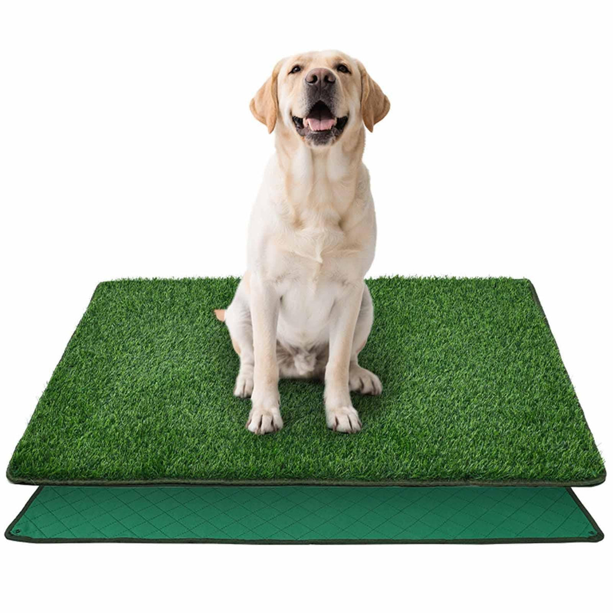 PawTurf Pro Reusable Dog Potty Mat