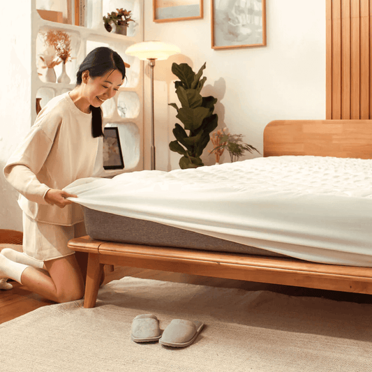 Cloud  Mattress Protector